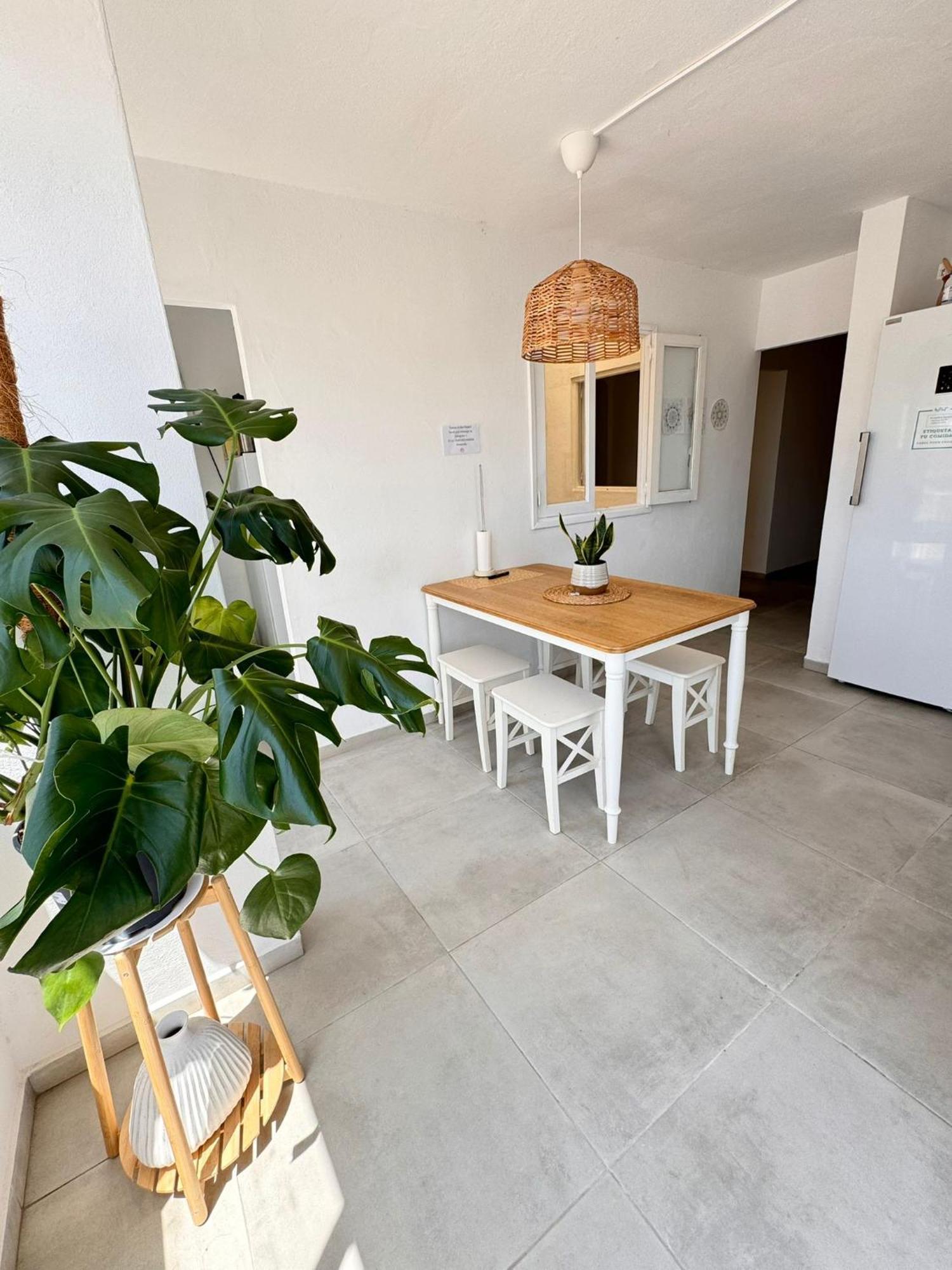 Cisne By Nest Hostel Sant Antoni de Portmany Extérieur photo